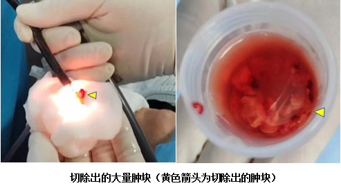 微信圖片_20231129154613.png